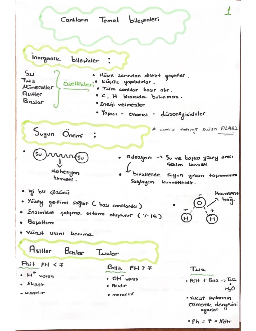 Tyt biyoloji canlıların temel bileşenleri ders notları 