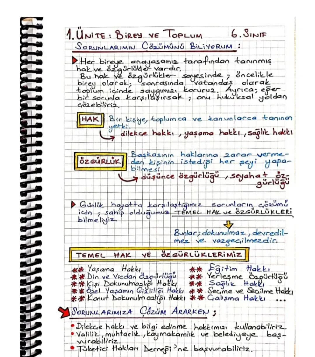 1. ÜNITE: BiREY VE TOPLUM
6.SINIF
SORUNLARIMIN Cözümünü BiLiYORUM:
Her bireye anayasamız tarafından tanınmış
hak ve özgürlükler vardır.
Bu h