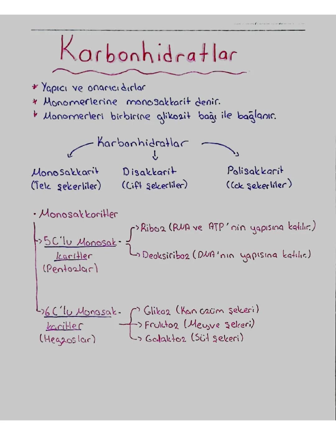 Karbonhidratların Yapısı ve Çeşitleri: Monosakkaritler, Disakkaritler ve Daha Fazlası