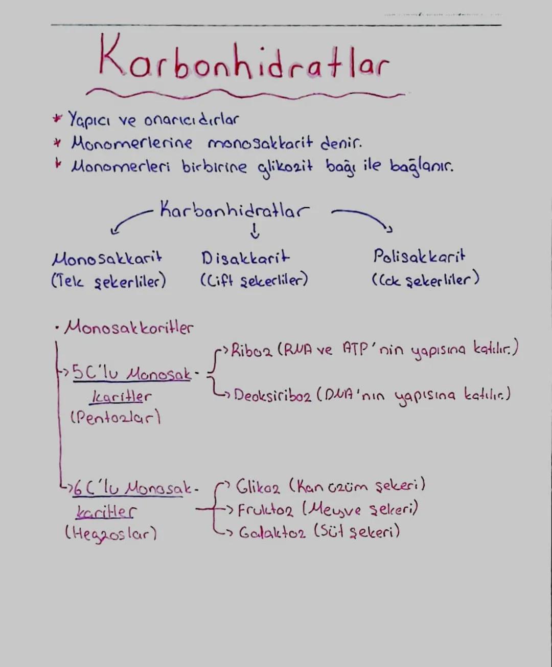 Karbonhidratlar
* Yapıcı ve onarıcıdırlar
Monomerlerine monosakkarit denir.
Monomerleri birbirine glikozit bağı ile bağlanır.
Karbonhidratla