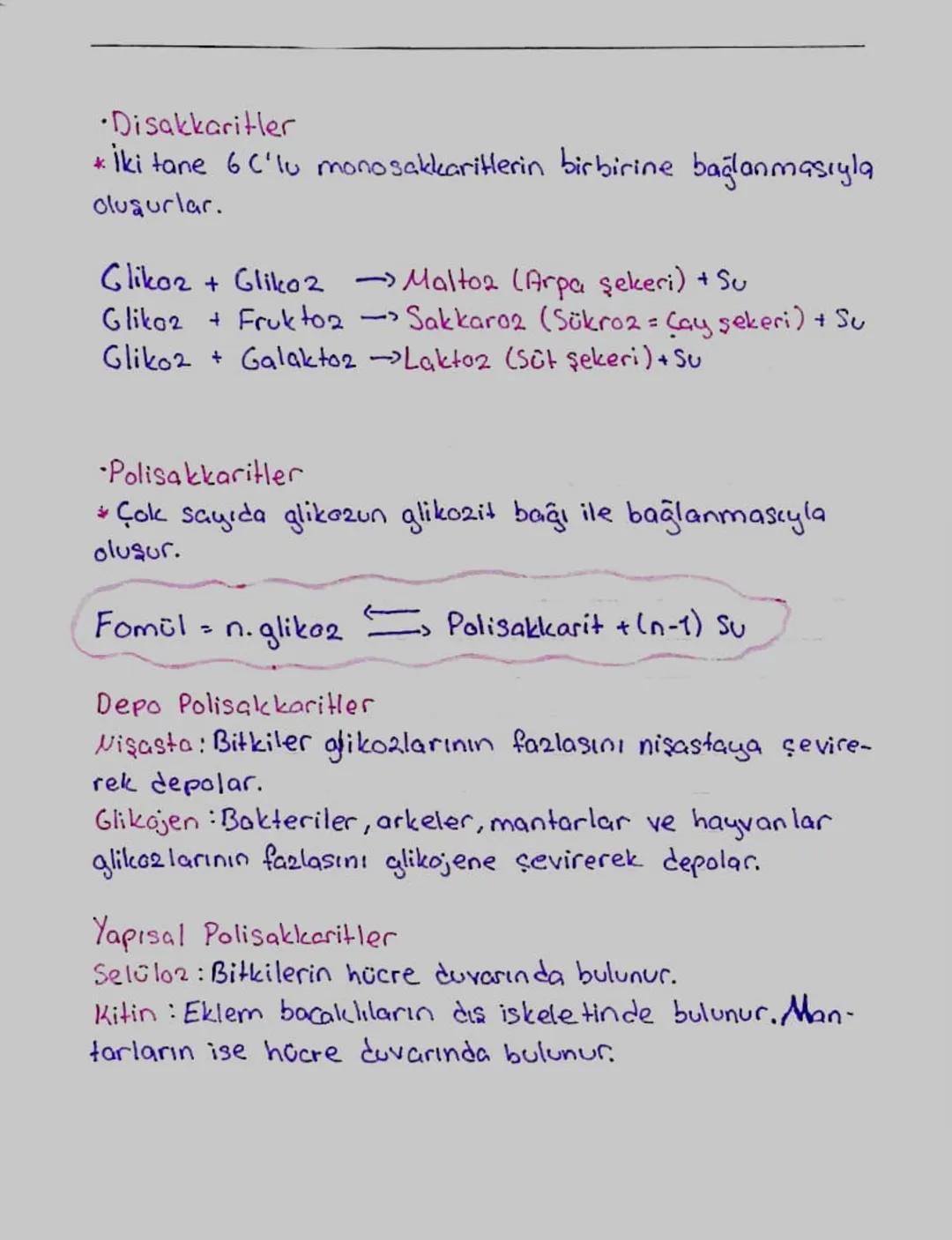 Karbonhidratlar
* Yapıcı ve onarıcıdırlar
Monomerlerine monosakkarit denir.
Monomerleri birbirine glikozit bağı ile bağlanır.
Karbonhidratla