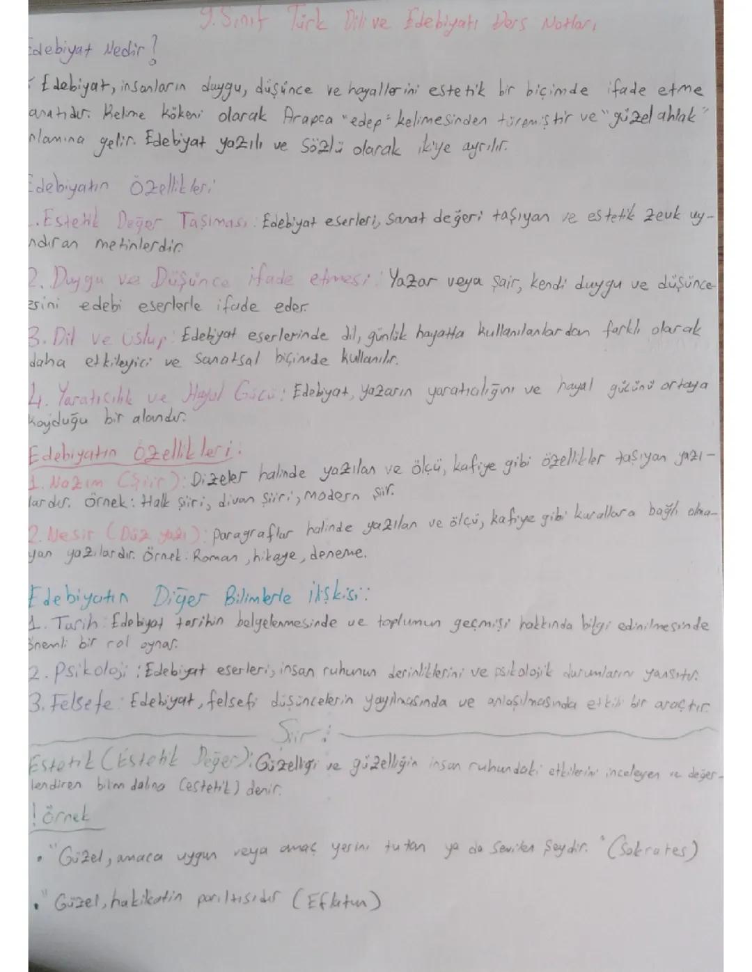 Edebiyat Nedir? Yeni Müfredat 9. Sınıf Konuları