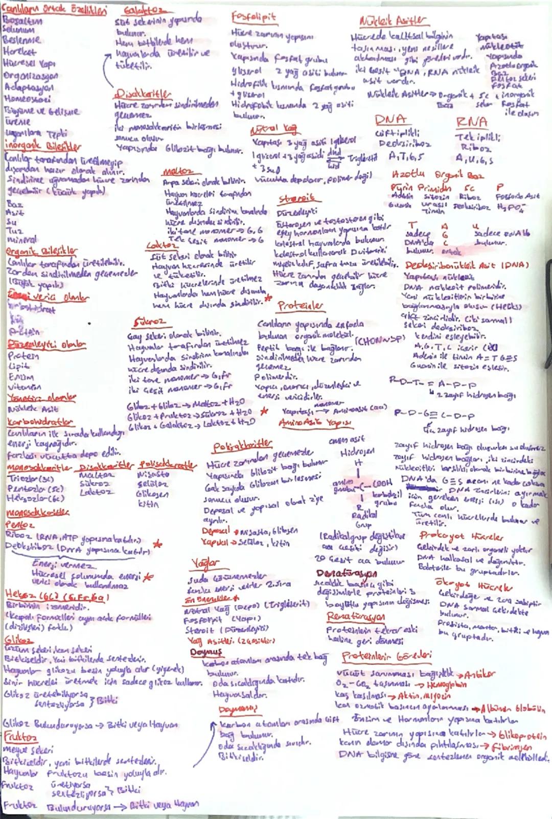 # Canlıların Ortak Özellikleri
- Galaktoz
- Selüloz
- Besin
- Oksijen
- Hücresel Yapı
- Organizasyon
- Adaptasyon
- Homeostaz
- Büyüme ve ge