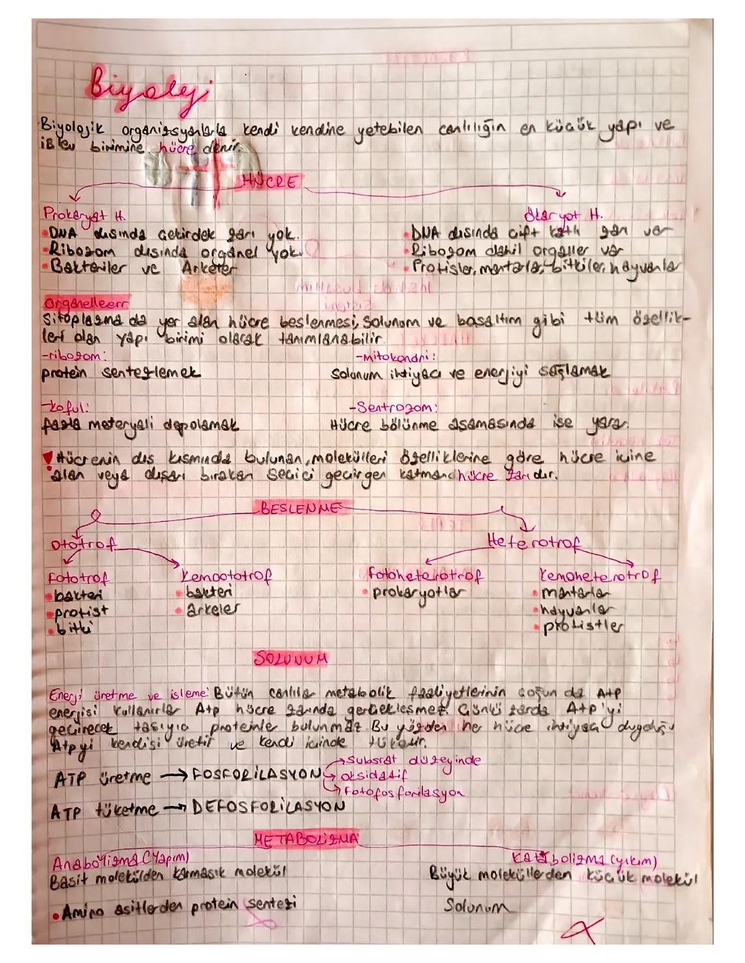 biyoloji konu anlatımı 