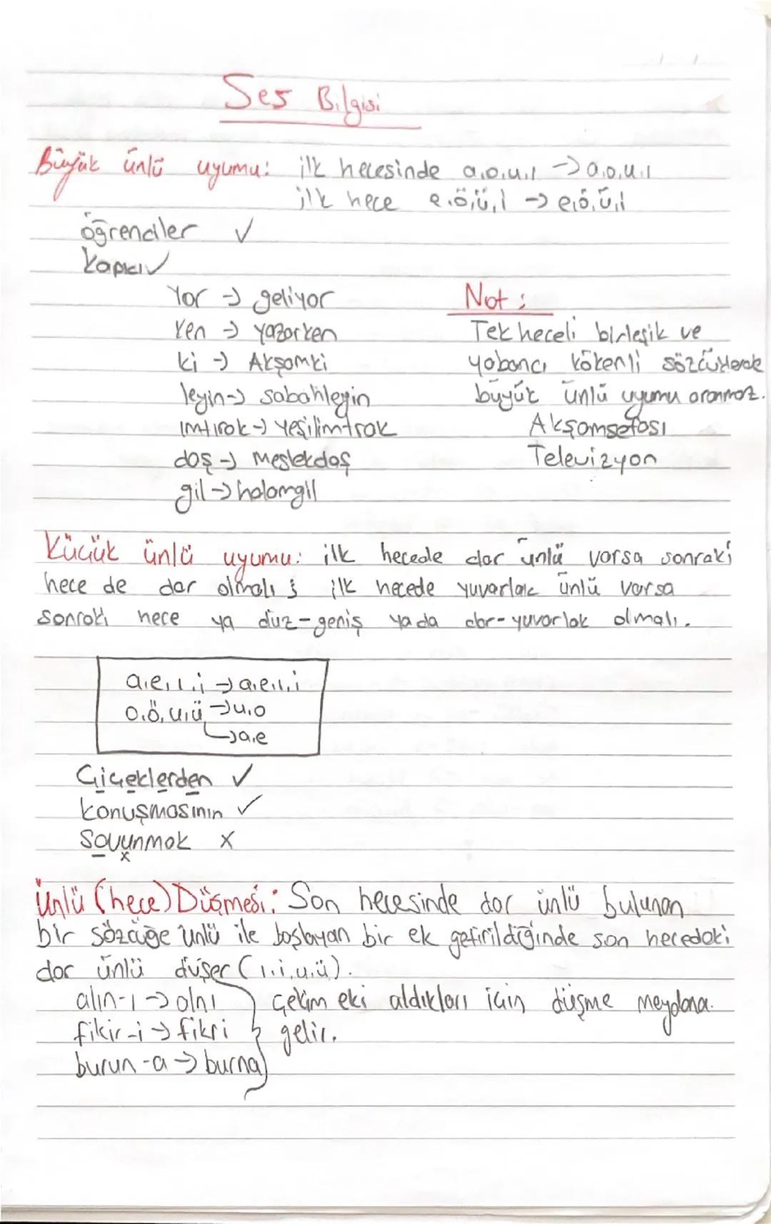 Ses Bilgisi
Binjak
unlu
uyumu:
ilk hecesinde a04->004
ilk hece
e.öül -αóúl
öğrenciler V
Kopkiv
Yor - geliyor
Yen yazarken
ki - Aksomki
leyin