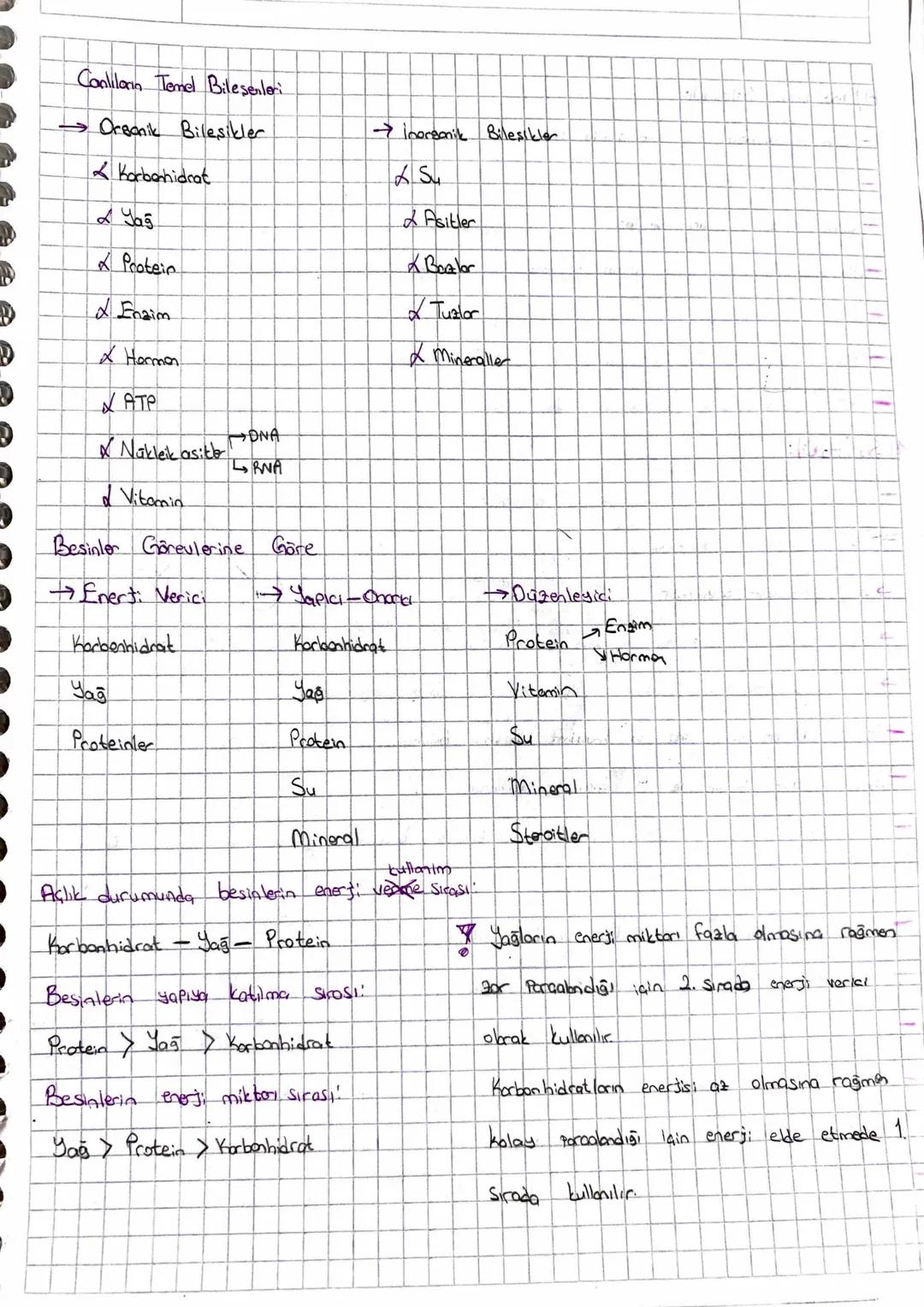 Biyoloji İnorganik Bileşikler