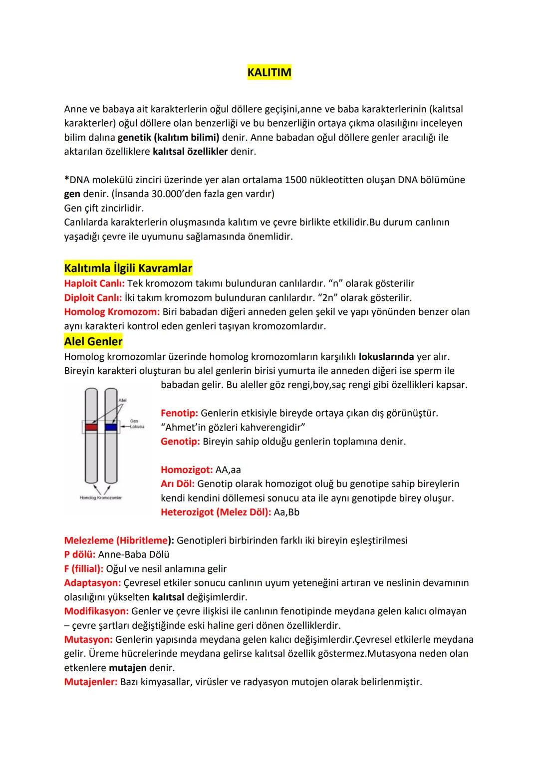 KALITIM
Anne ve babaya ait karakterlerin oğul döllere geçişini, anne ve baba karakterlerinin (kalıtsal
karakterler) oğul döllere olan benzer