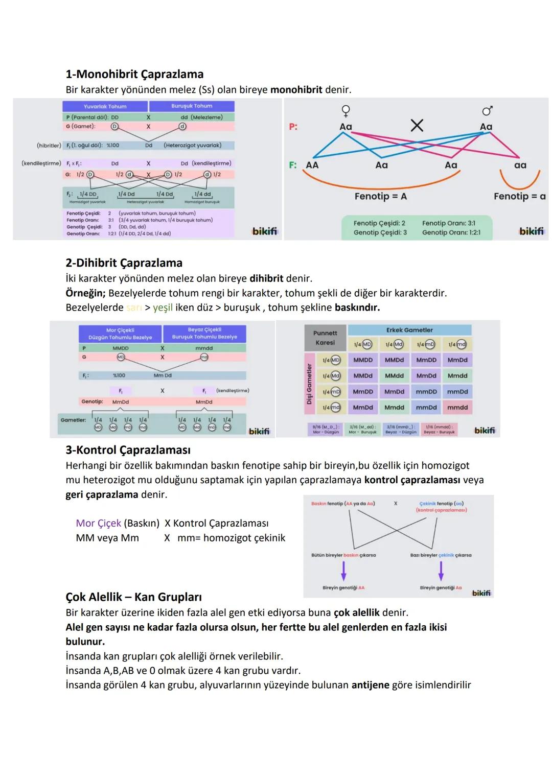 KALITIM
Anne ve babaya ait karakterlerin oğul döllere geçişini, anne ve baba karakterlerinin (kalıtsal
karakterler) oğul döllere olan benzer