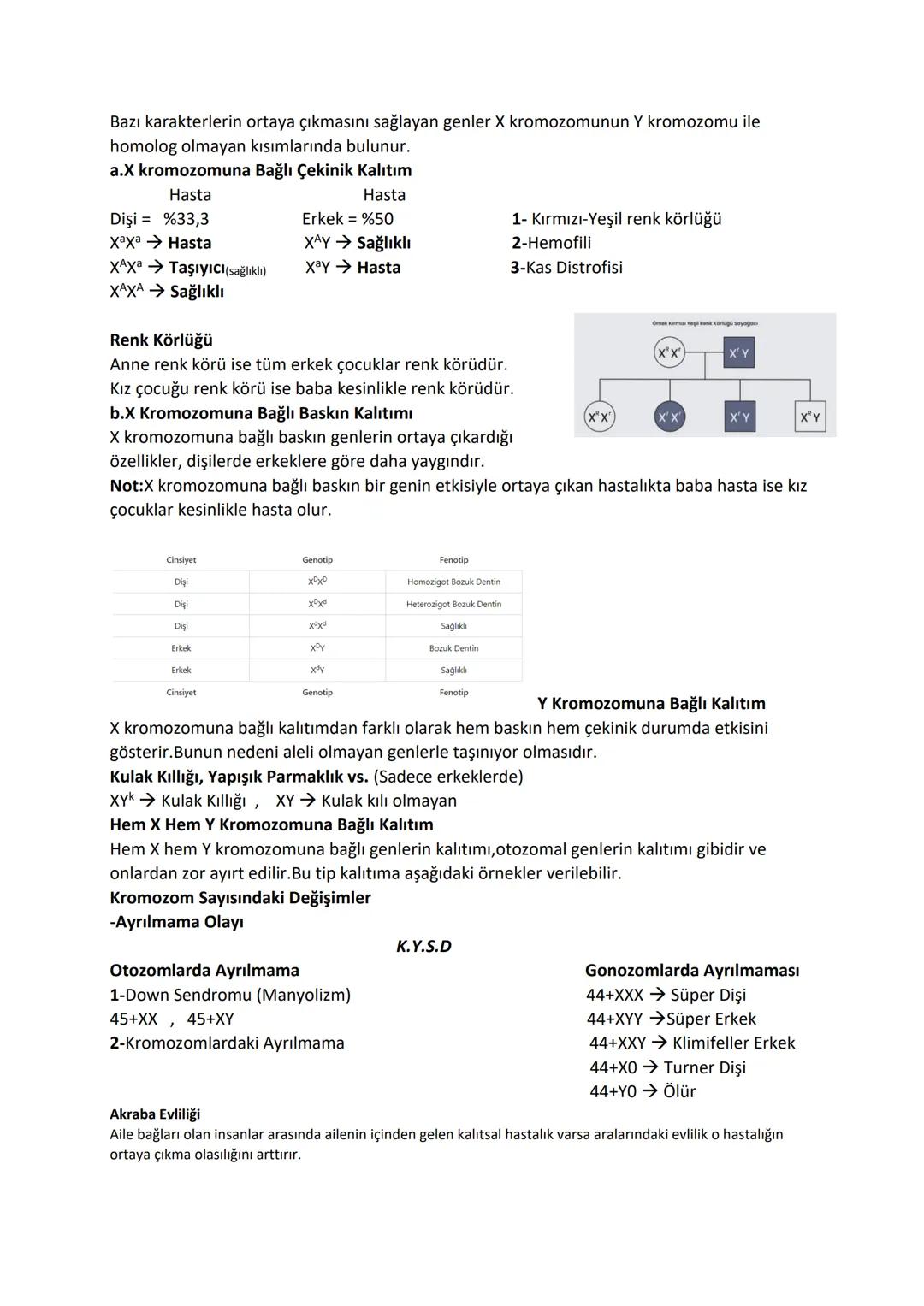 KALITIM
Anne ve babaya ait karakterlerin oğul döllere geçişini, anne ve baba karakterlerinin (kalıtsal
karakterler) oğul döllere olan benzer