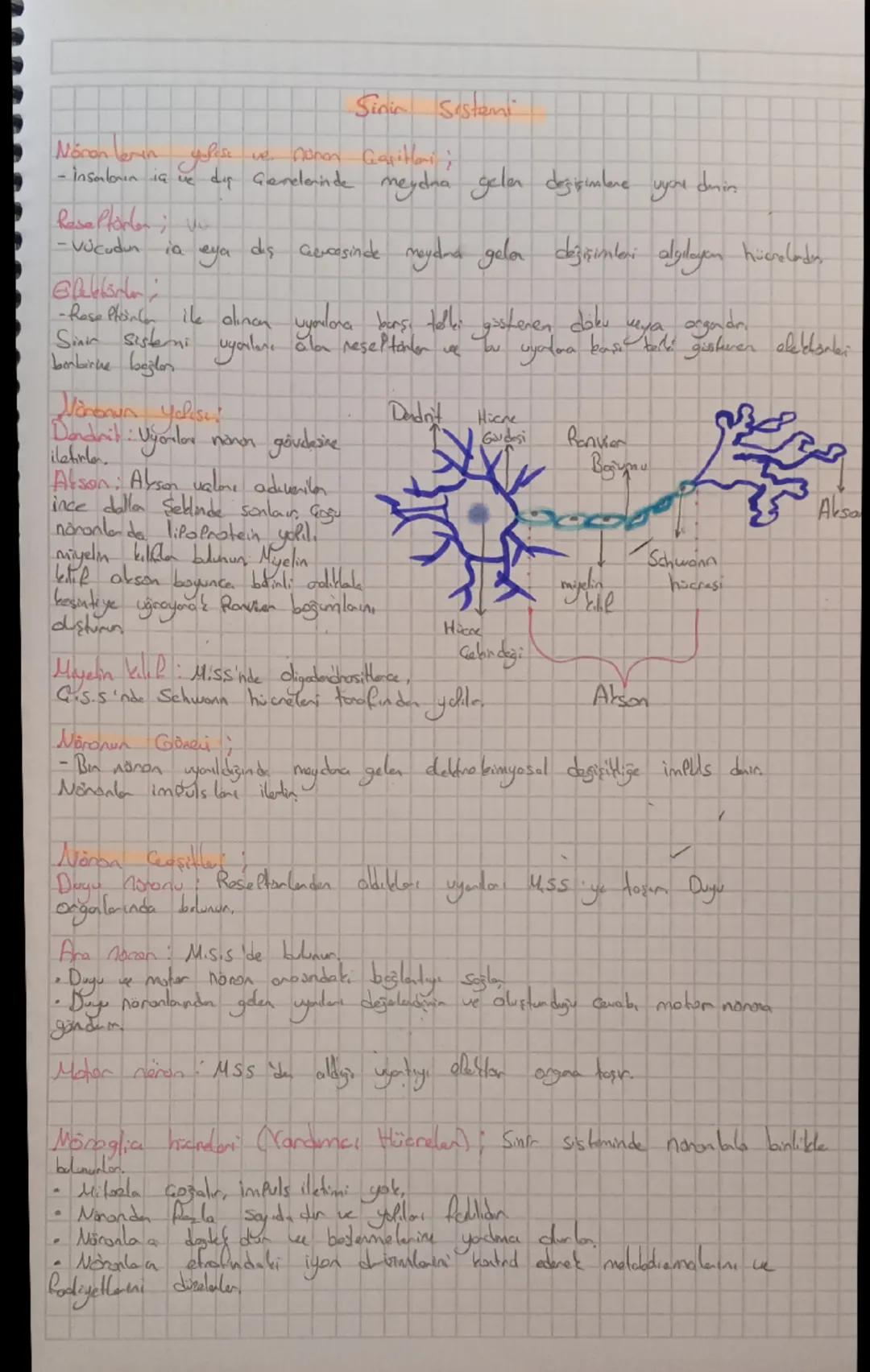 Sinir Sistemi
Nöronlerin yapısı ve Neron Gçiliri;
-insanların iç ve dış çevrelerinde meydana gelen değişimlere uyarı din
Reseptorler
-vücudu