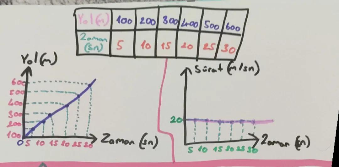 Fen Bilimleri Grafik 📈