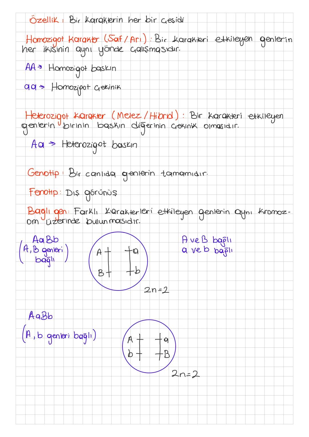 GENETİK (Kalıtım)
* Kalitsal bilgilerin nesilden nesle nasıl aktarıldığını inceleyen
bilim dalına "Kalıtım" denir.
Kromozom
DNA
+
Protein (H