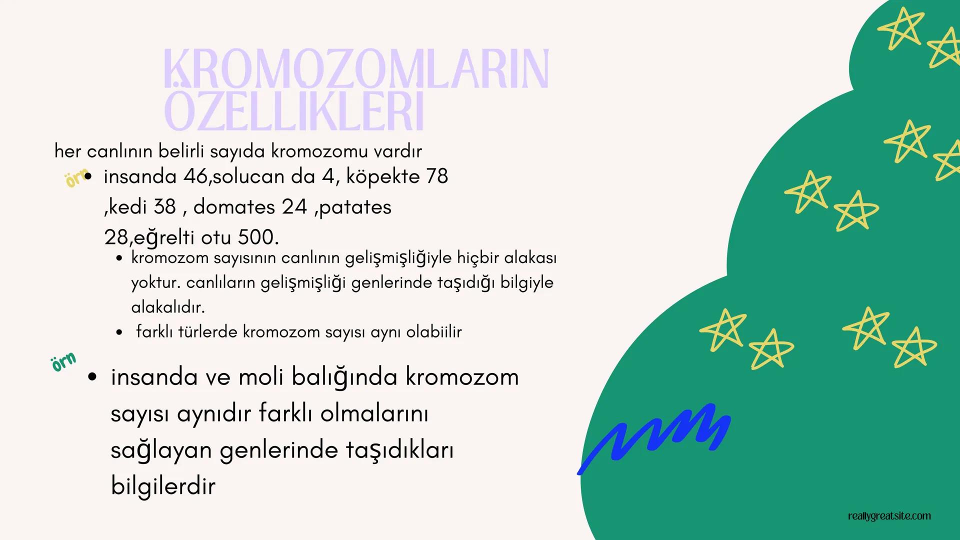 3
biology
Biyoloji
KONU ANLATIMI
(SINAVA HAZIRLIK)
mm 2. ÜNİTE HÜCRE
NOT:
ilk mikroskop 16. yy'da
Zacharias Janssen
tarafından bulunmuştur.
