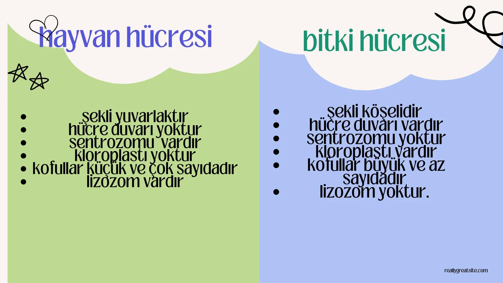 biology

Biyoloji
KONU ANLATIMI

(SINAVA HAZIRLIK) 2. ÜNİTE HÜCRE
,
NOT:
ilk mikroskop 16. yy'da
Zacharias Janssen
tarafından bulunmuştur.

