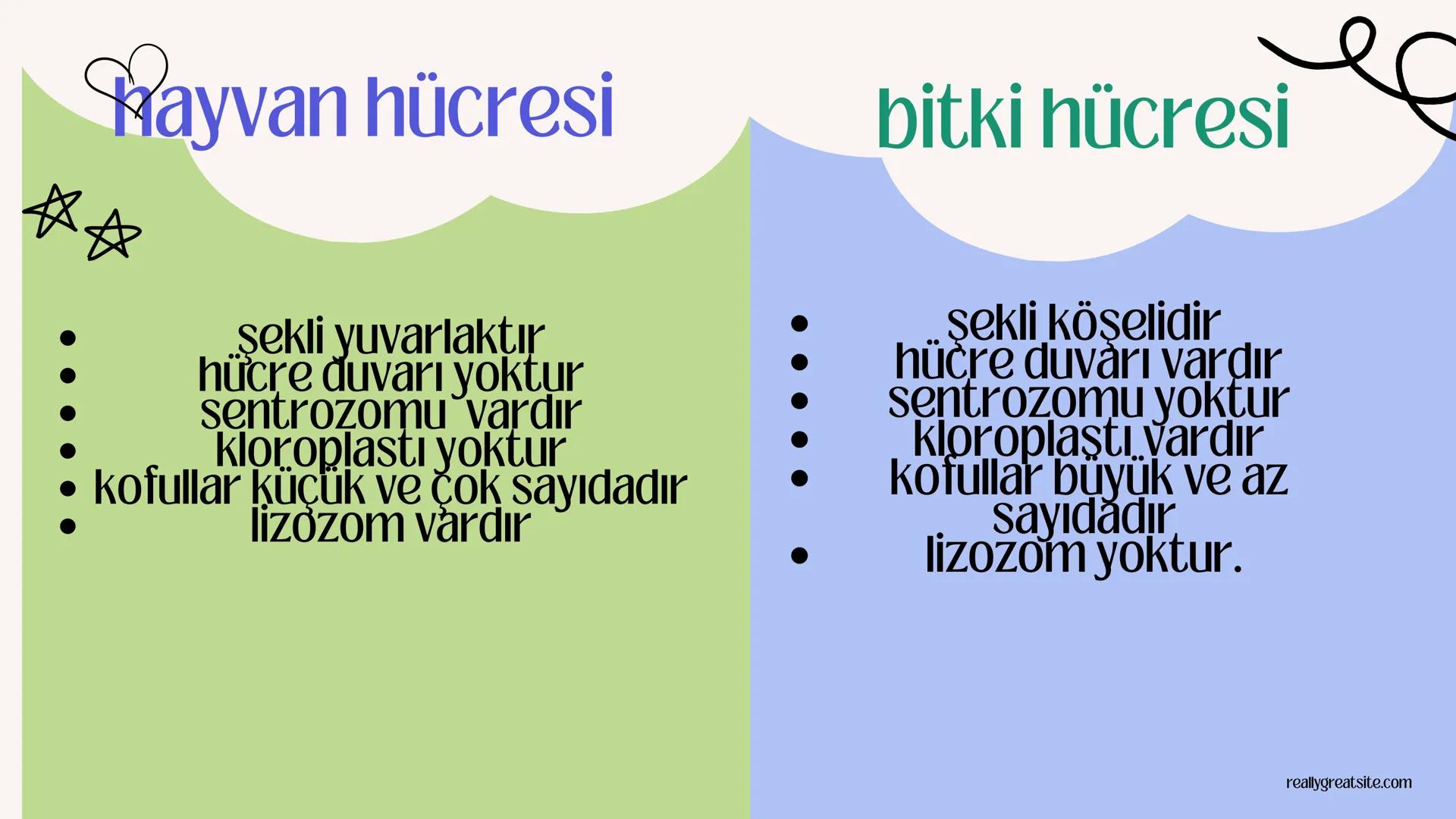 3
biology
Biyoloji
KONU ANLATIMI
(SINAVA HAZIRLIK)
mm 2. ÜNİTE HÜCRE
NOT:
ilk mikroskop 16. yy'da
Zacharias Janssen
tarafından bulunmuştur.
