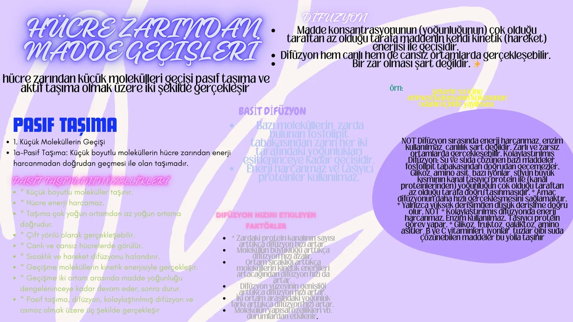 biology

Biyoloji
KONU ANLATIMI

(SINAVA HAZIRLIK) 2. ÜNİTE HÜCRE
,
NOT:
ilk mikroskop 16. yy'da
Zacharias Janssen
tarafından bulunmuştur.

