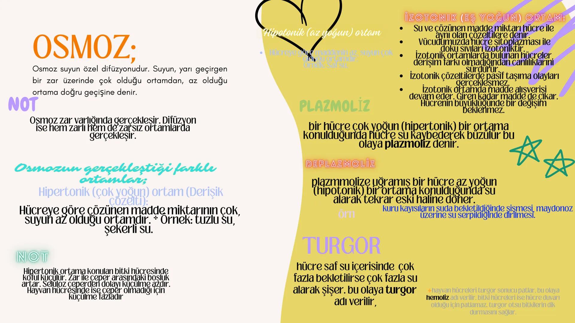 biology

Biyoloji
KONU ANLATIMI

(SINAVA HAZIRLIK) 2. ÜNİTE HÜCRE
,
NOT:
ilk mikroskop 16. yy'da
Zacharias Janssen
tarafından bulunmuştur.


