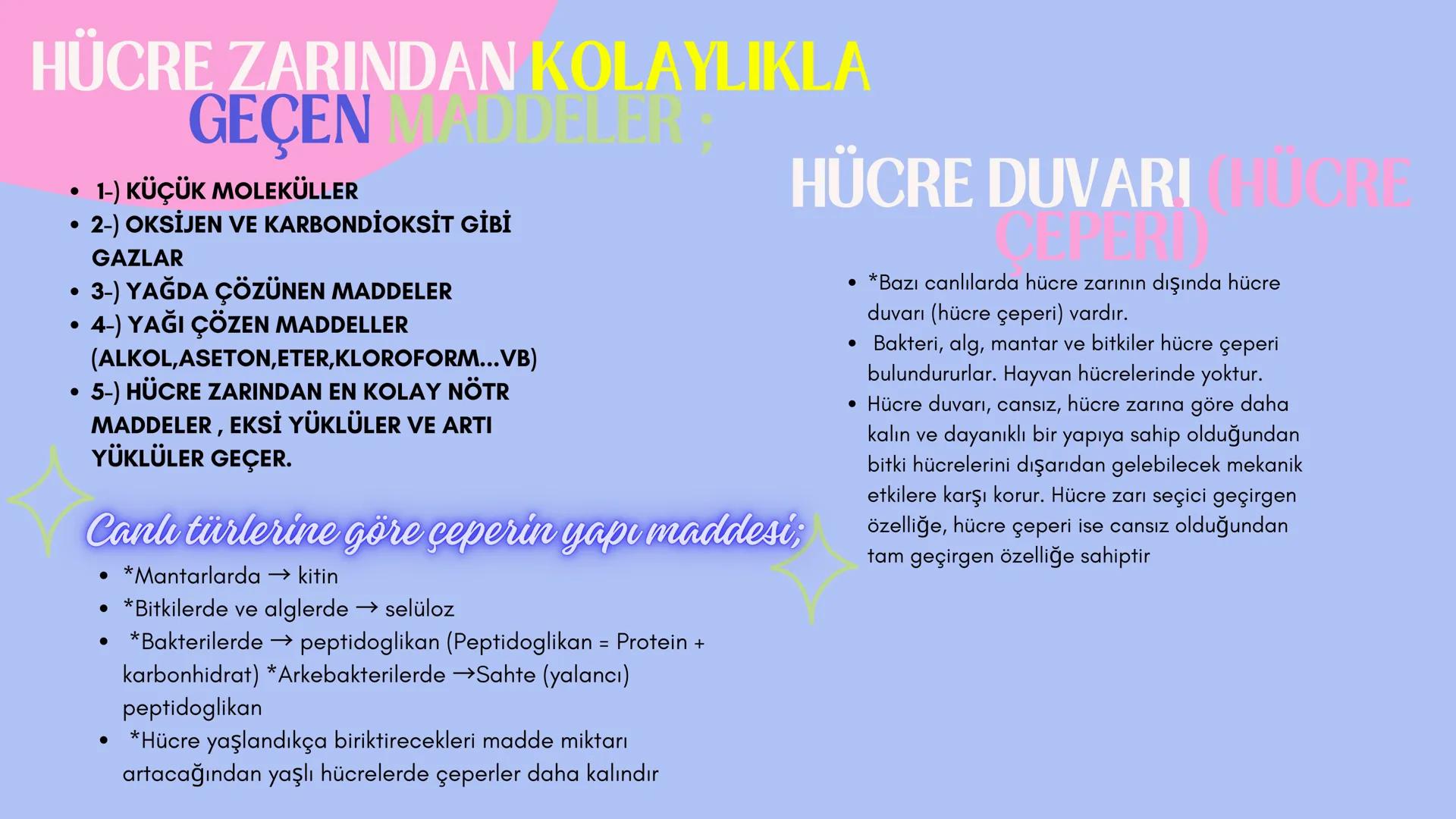 3
biology
Biyoloji
KONU ANLATIMI
(SINAVA HAZIRLIK)
mm 2. ÜNİTE HÜCRE
NOT:
ilk mikroskop 16. yy'da
Zacharias Janssen
tarafından bulunmuştur.
