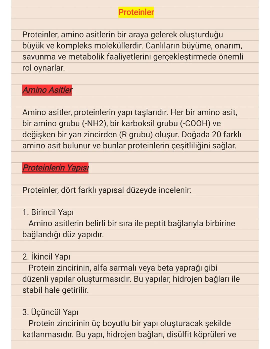 9.SINIF - PROTEİNLER