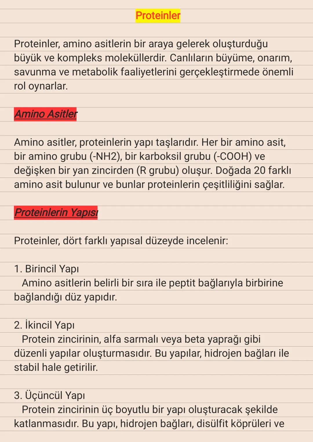 Proteinler
Proteinler, amino asitlerin bir araya gelerek oluşturduğu
büyük ve kompleks moleküllerdir. Canlıların büyüme, onarım,
savunma ve 