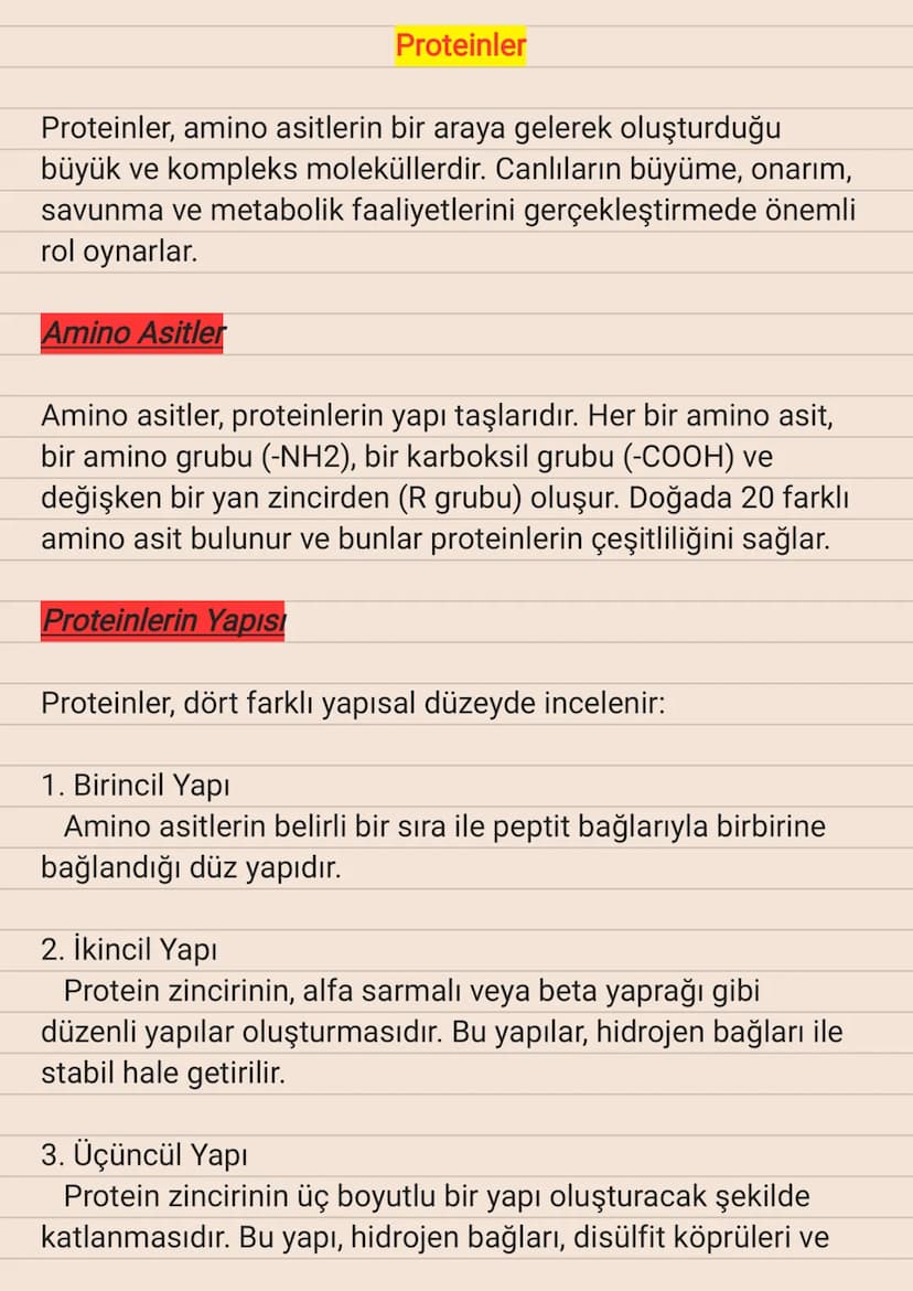 Proteinler
Proteinler, amino asitlerin bir araya gelerek oluşturduğu
büyük ve kompleks moleküllerdir. Canlıların büyüme, onarım,
savunma ve 