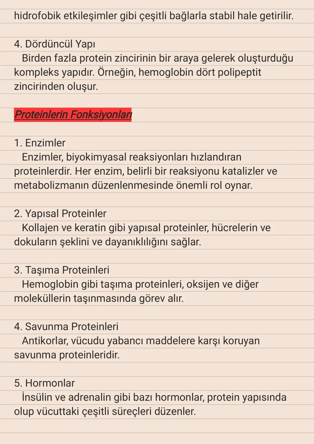 Proteinler
Proteinler, amino asitlerin bir araya gelerek oluşturduğu
büyük ve kompleks moleküllerdir. Canlıların büyüme, onarım,
savunma ve 
