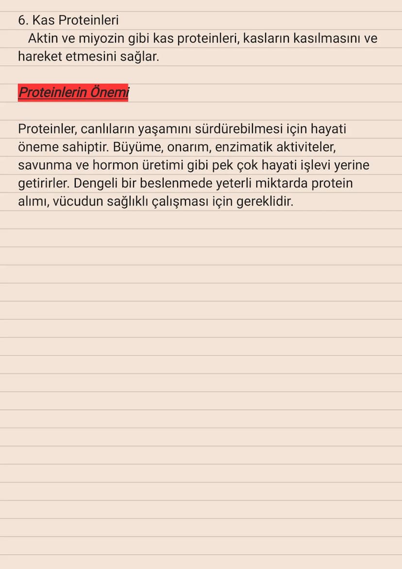 Proteinler
Proteinler, amino asitlerin bir araya gelerek oluşturduğu
büyük ve kompleks moleküllerdir. Canlıların büyüme, onarım,
savunma ve 