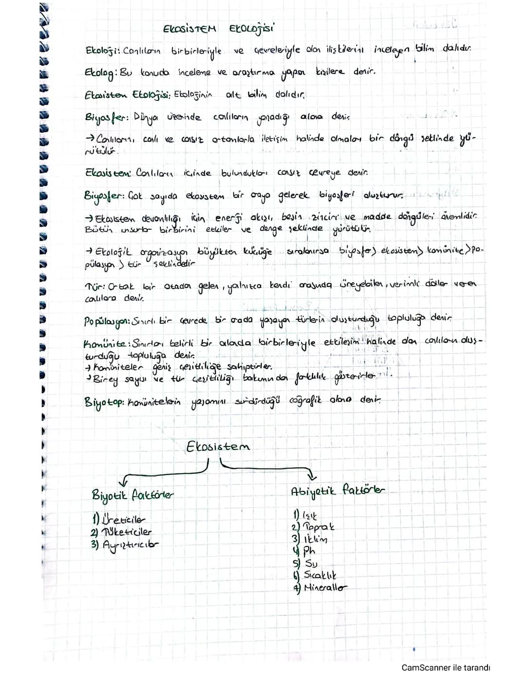 Ekosistem ekolojisi