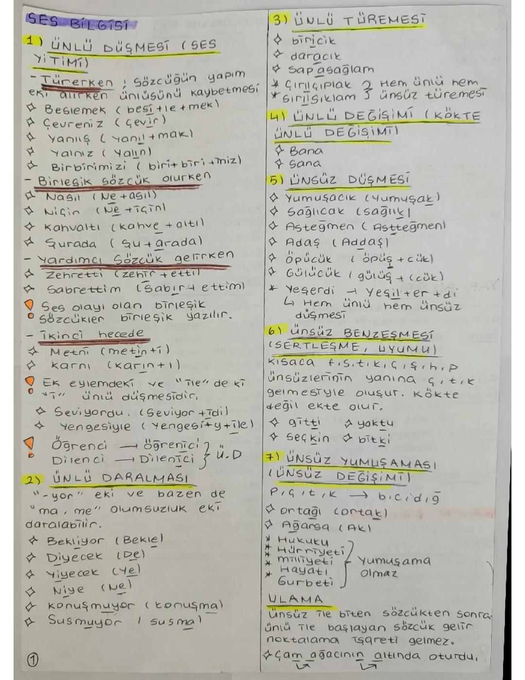 Türkçe Konu Özeti - Temel Bilgiler