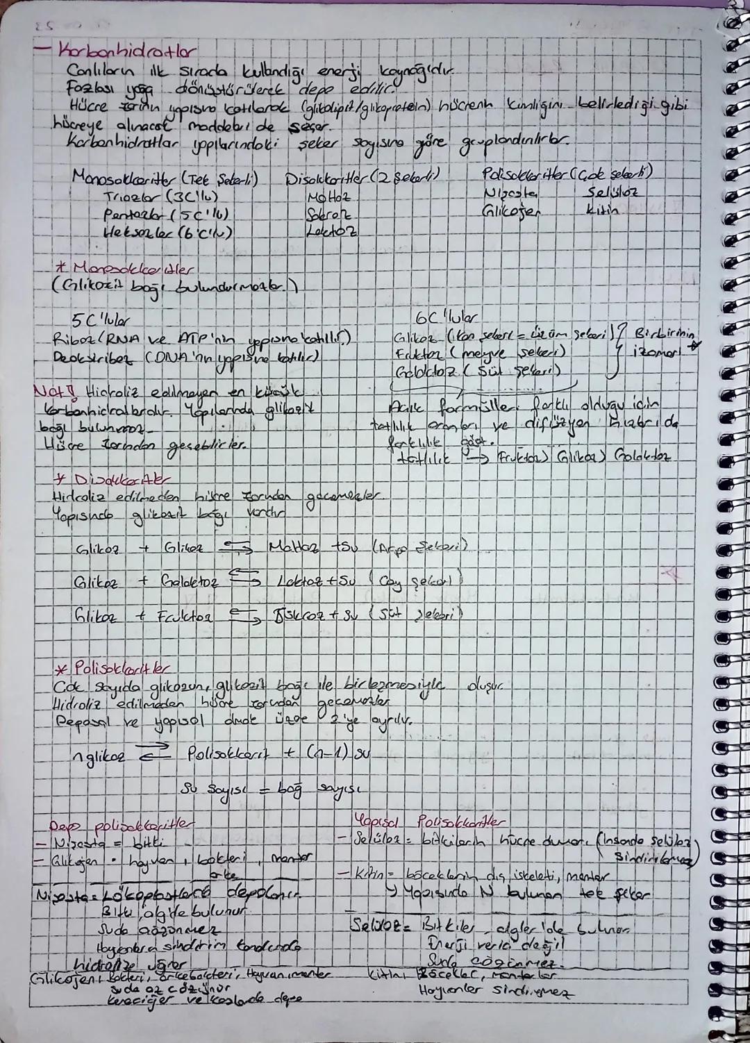 тут відео
ORGANIK
Bikesikler
Mapılarında Cve H.
atamu birlikte bulunduran bileziklerdir
Conliler doof noben sontealenic.
En kiçijk organike 