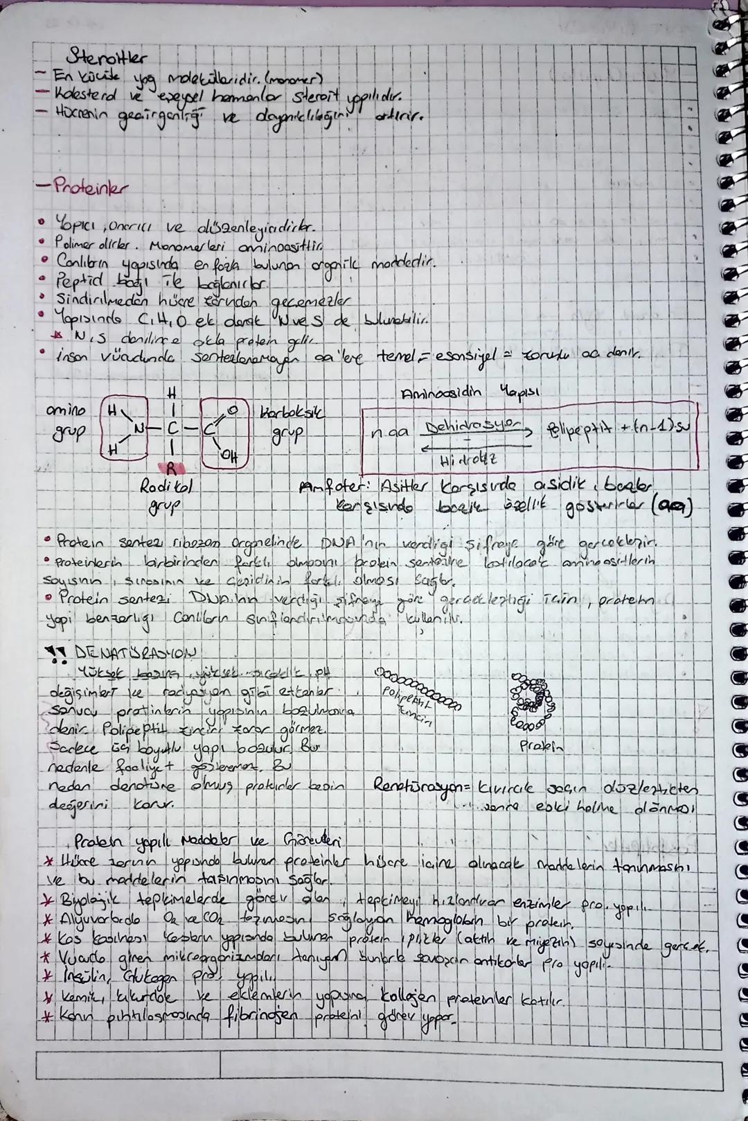 тут відео
ORGANIK
Bikesikler
Mapılarında Cve H.
atamu birlikte bulunduran bileziklerdir
Conliler doof noben sontealenic.
En kiçijk organike 