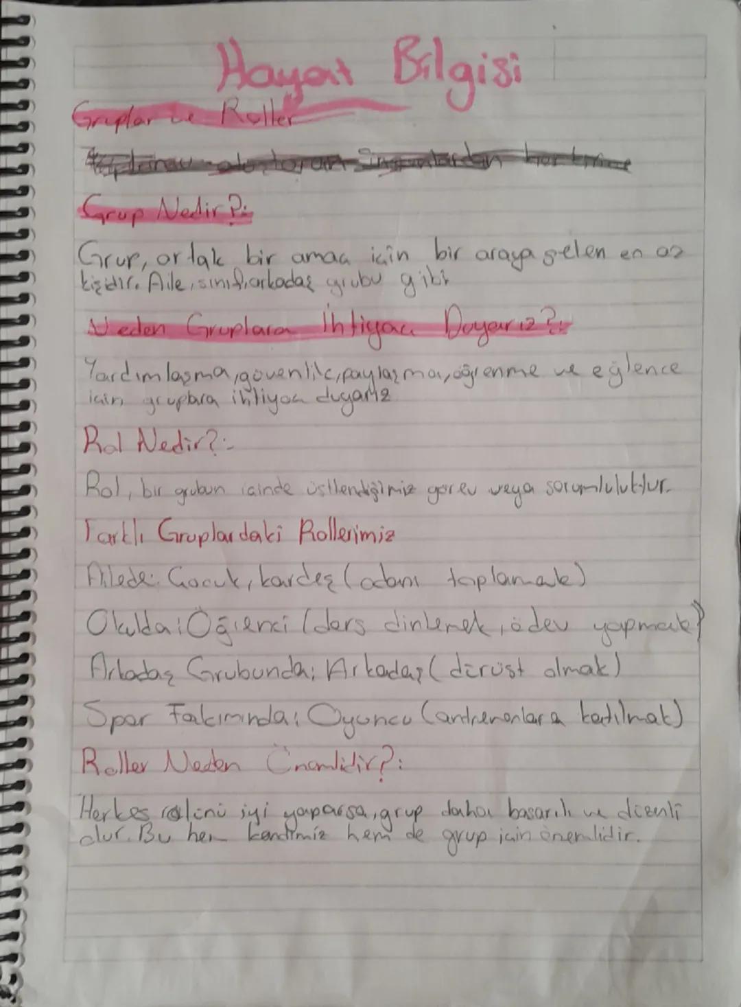 5.SINIF SOSYAL BİLGİLER GRUPLAR VE ROLLEE DERS NOTU