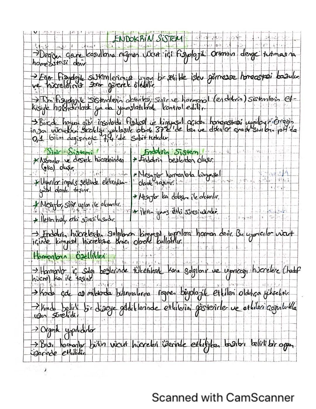 AYT ve 11. sınıf Endokrin Sistem