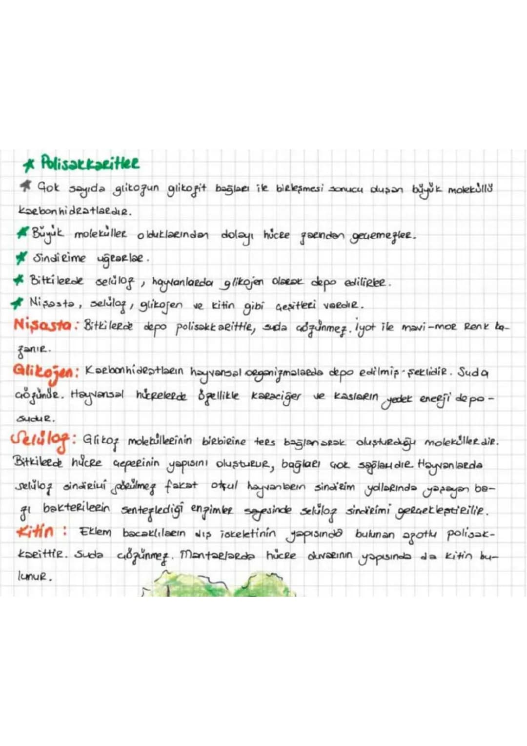 a
.
2. Organik Bileşikler
Yapısında kaeban bulunduran bileşitleze Deganik bileşik denie.
Organik bileşiklerin yapısında karbona ilaveten gen