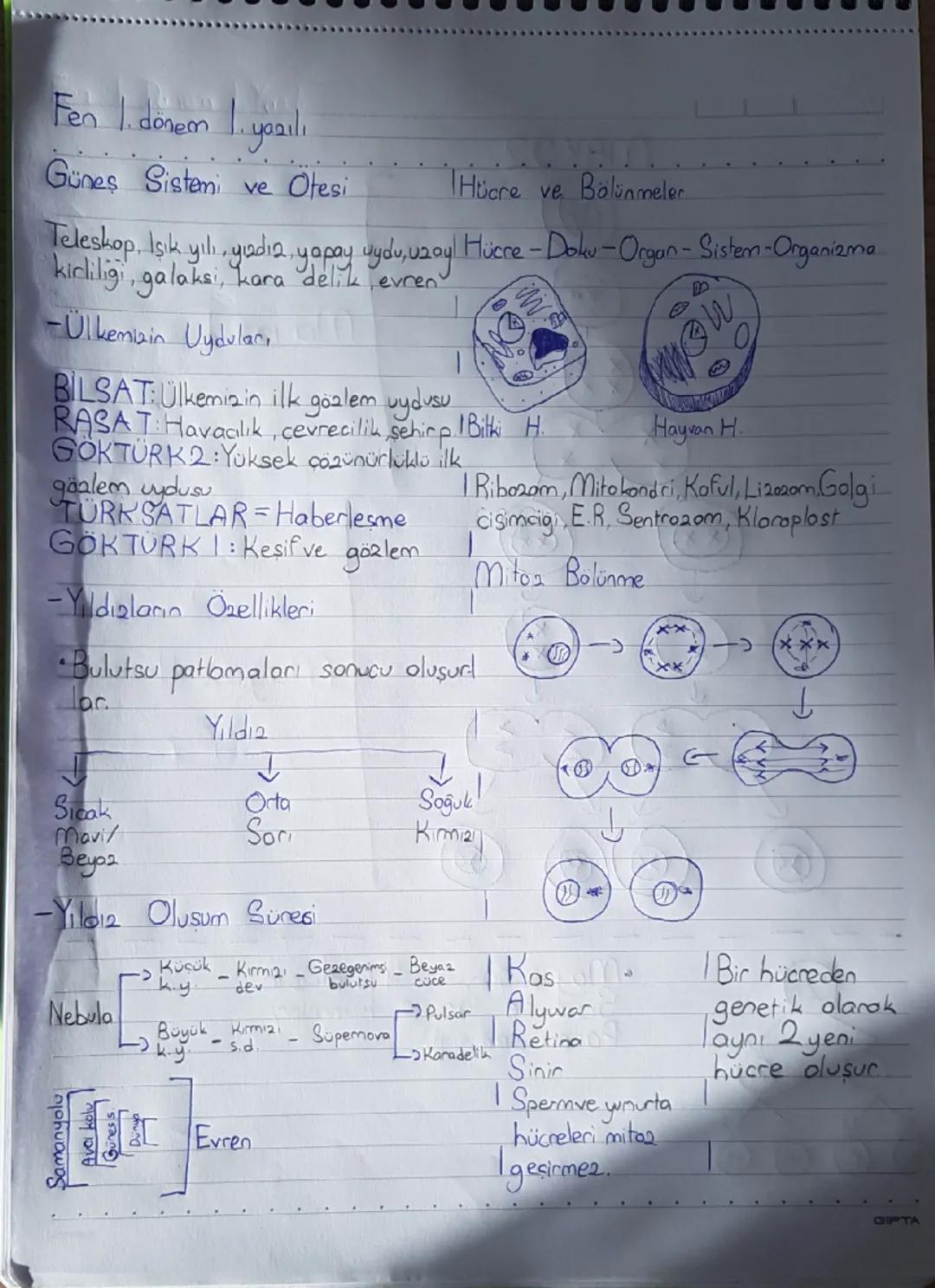Fen bilimleri 1. Dönem 1. Yazılı notu