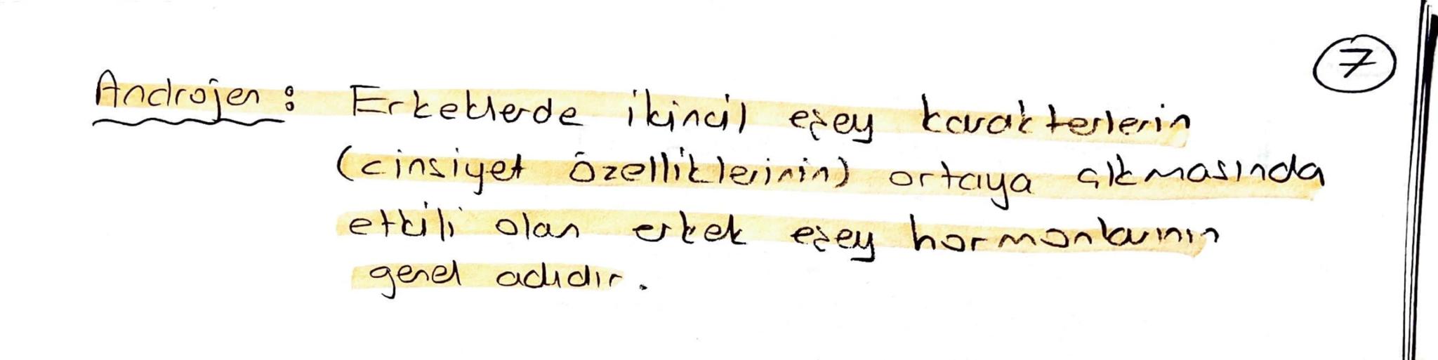 ## ÜREME SİSTEMİ

우

2n

Mayoz

n

•Büyüktür Yumurta
(охим)

•Hareketsizdir.

• Zigot için
esas sitoplazma
kaynağıdır.

♂

2n

Eşey ana hücr
