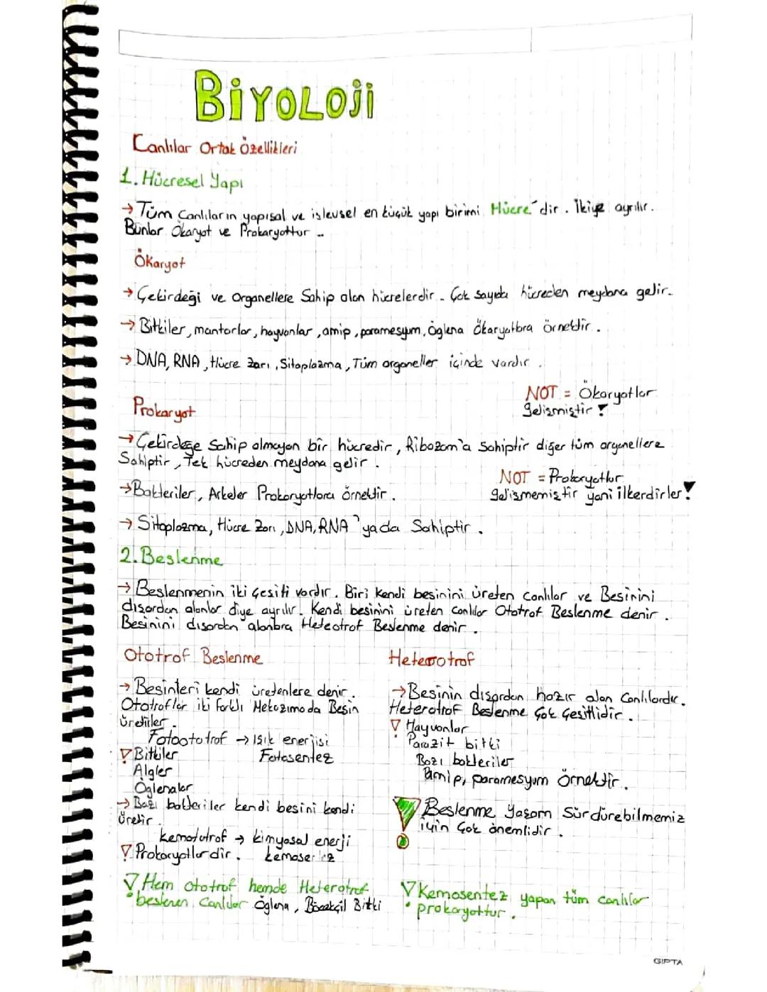 Canlıların ortak özellikleri biyoloji