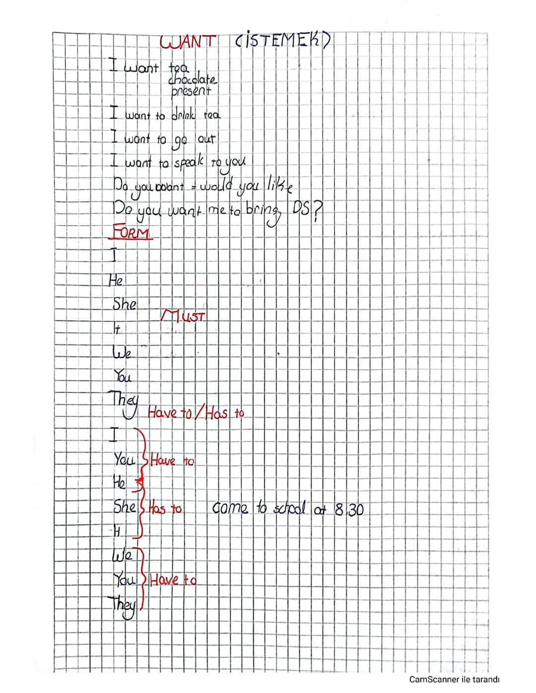 Must vs. Have to: Easy Guide for 6th Graders