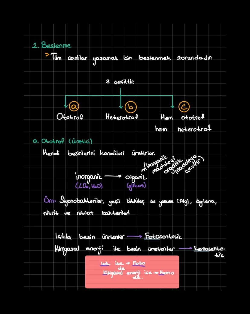 Canlıların Ortak Özellikleri
1. Hücresel Yapıya Sahip Olma
Tek Hücreliler
→Bakteri, arke, öglena,
terliksi hayvan,
siyano bakteri...
Cok
Hüc