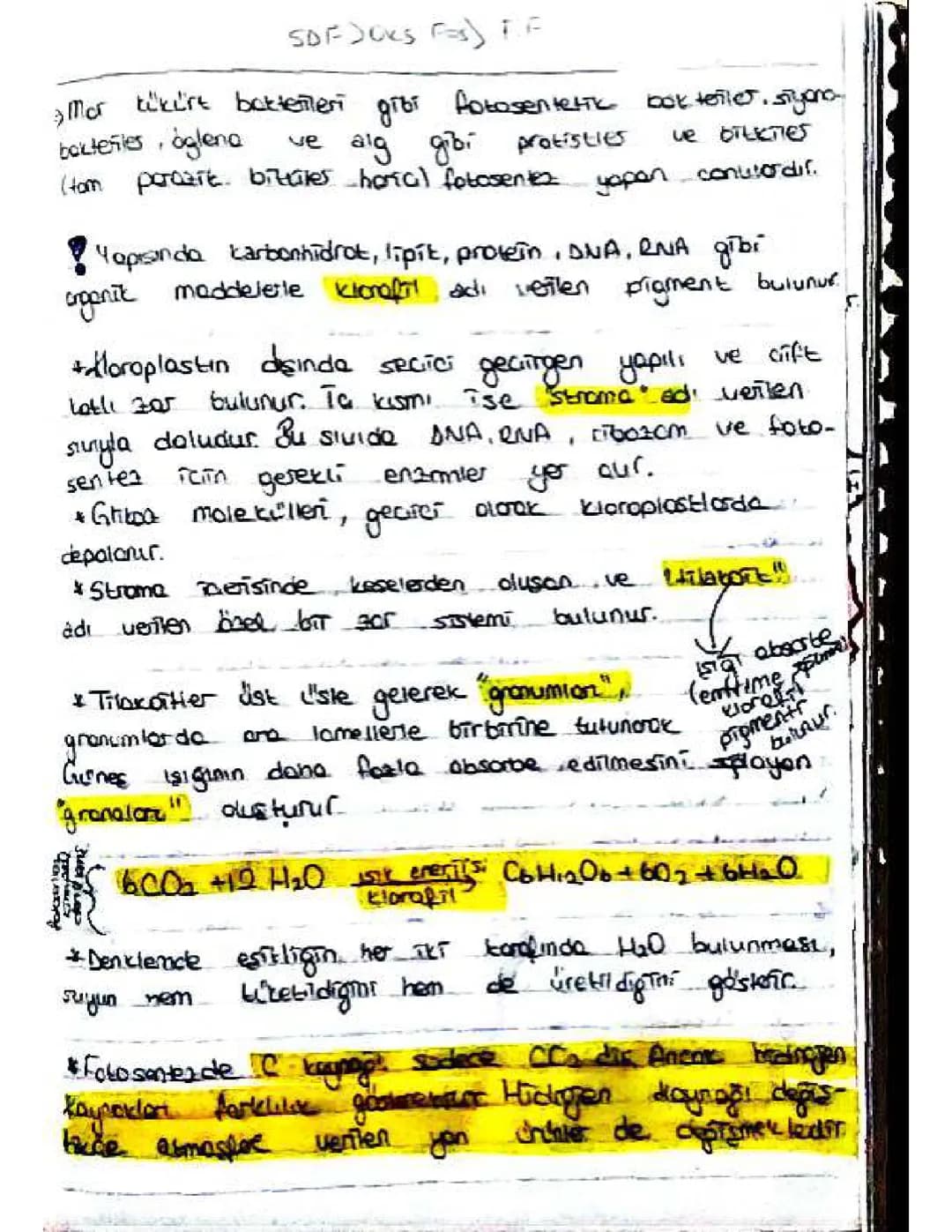 8. ve 12. Sınıf Canlılarda Enerji Dönüşümleri PDF ve Klorofil Nedir, Faydaları