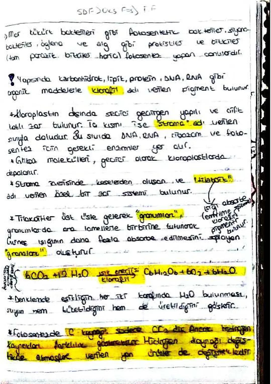 SDF JOKS F=S) FF
9) Mor tükürt bottenleri gibi fotosentetic bok teiler, siyona
ve alg gibi protisties
baktefiles, óglend
(tom porazit bittil