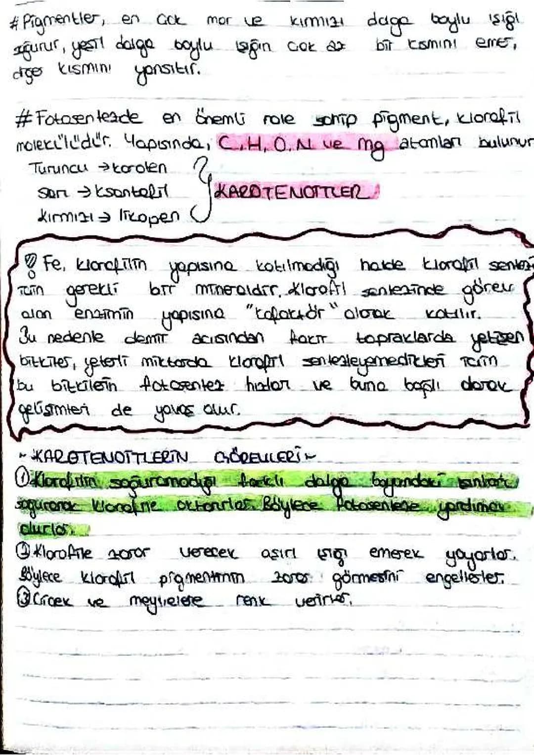 SDF JOKS F=S) FF
9) Mor tükürt bottenleri gibi fotosentetic bok teiler, siyona
ve alg gibi protisties
baktefiles, óglend
(tom porazit bittil