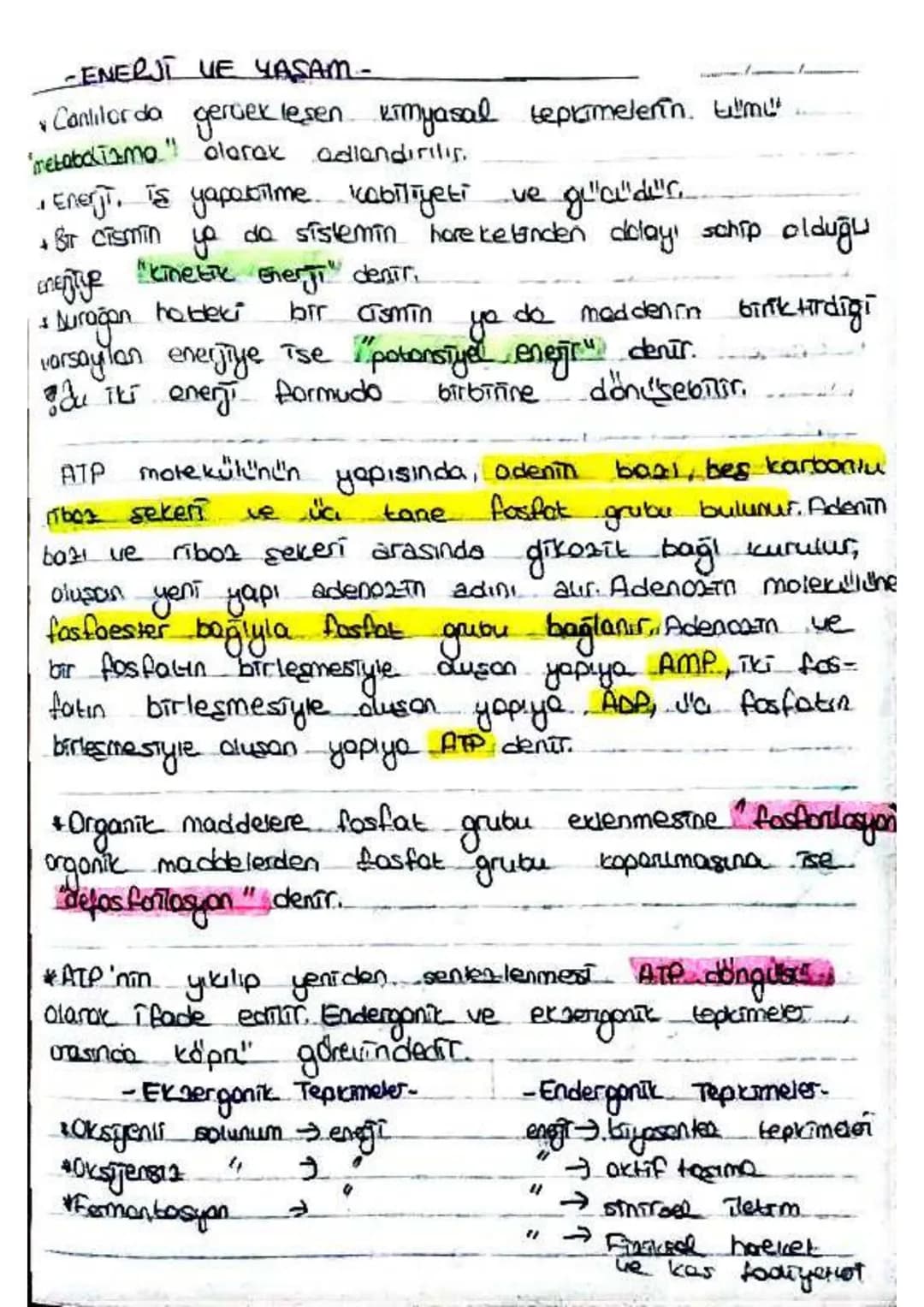 SDF JOKS F=S) FF
9) Mor tükürt bottenleri gibi fotosentetic bok teiler, siyona
ve alg gibi protisties
baktefiles, óglend
(tom porazit bittil