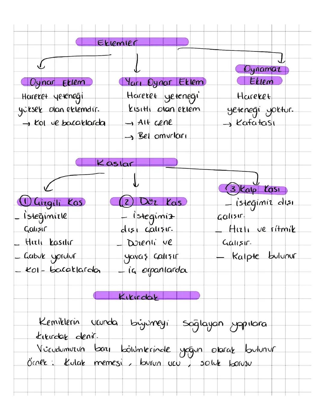 Fen Bilimleri Genel Sınav Tekrarı