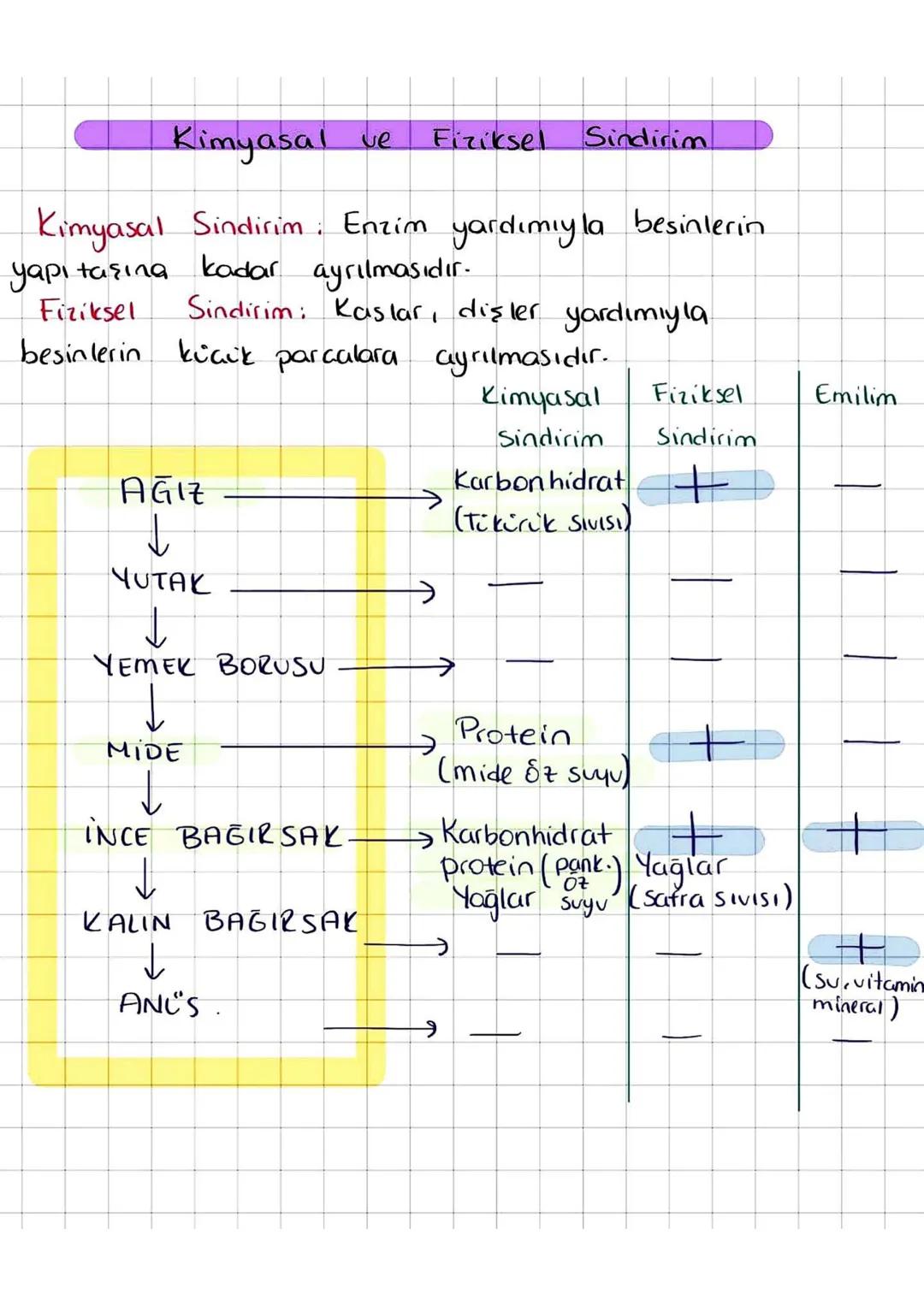 COynar Eklem
Hareket yeteneği
yüksek olan eklemdir.
Eklemler
→ kol ve bacaklarda
C
↓
Yarı Oynar Eklem
Hareket yeteneği
kısıtlı olan eklem
t
