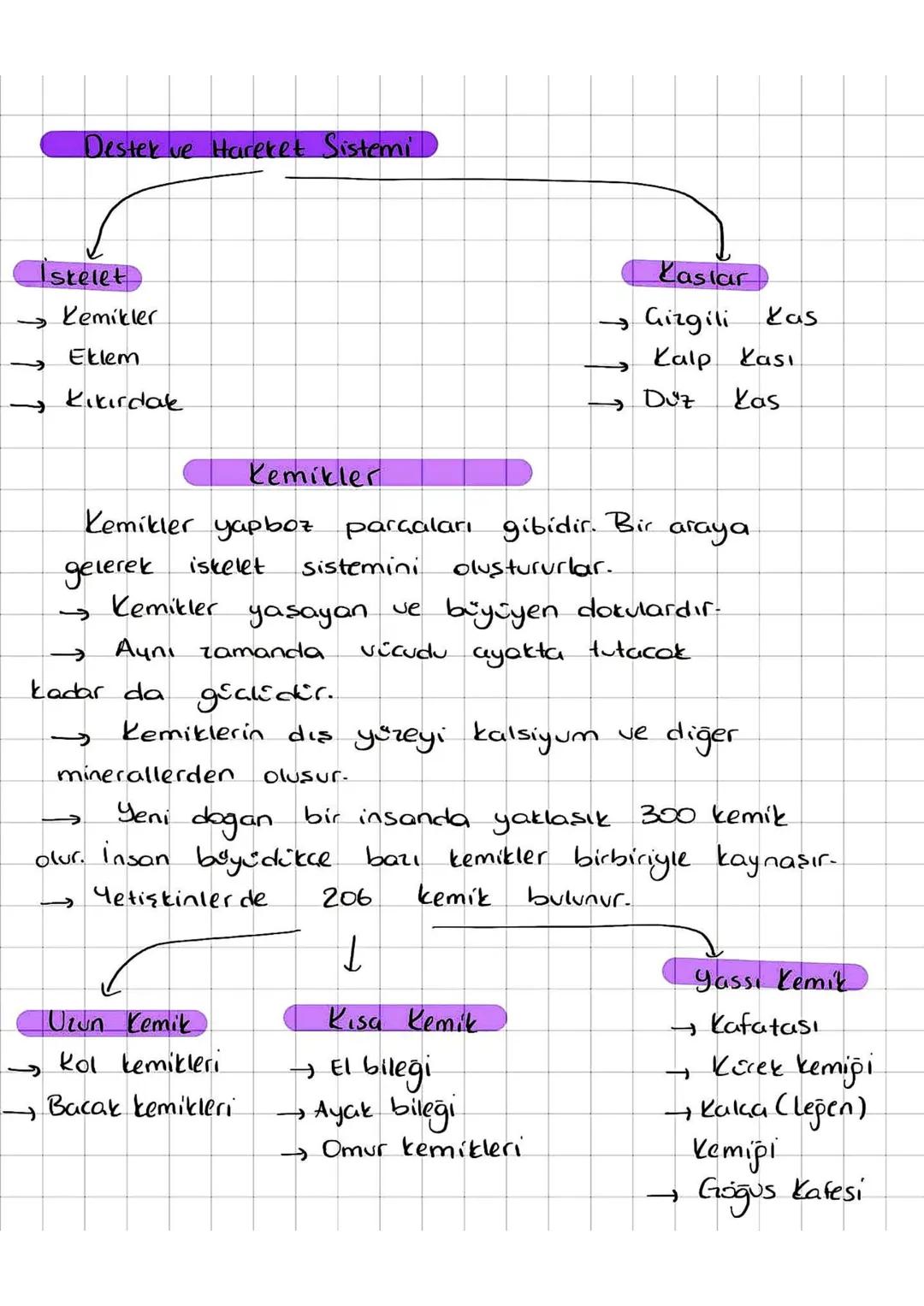 COynar Eklem
Hareket yeteneği
yüksek olan eklemdir.
Eklemler
→ kol ve bacaklarda
C
↓
Yarı Oynar Eklem
Hareket yeteneği
kısıtlı olan eklem
t
