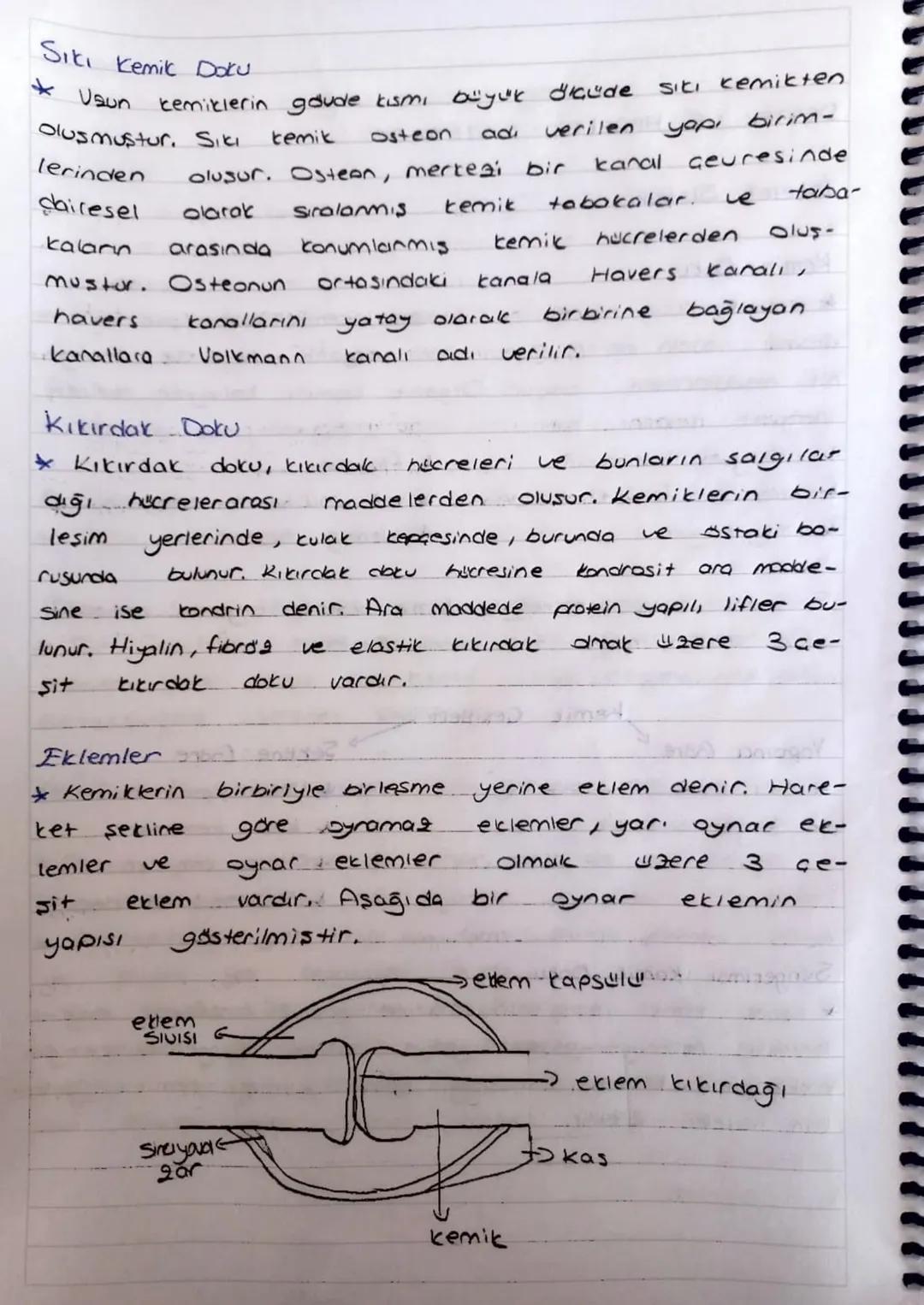 DESTEK VE HAREKET
SISTEMLERI
istelet Sistemi
Kemit Doku
* Kemik doku hücrelerine osteosit, kemik
desine
Osein denir. Osein.
hem
organik
nik 