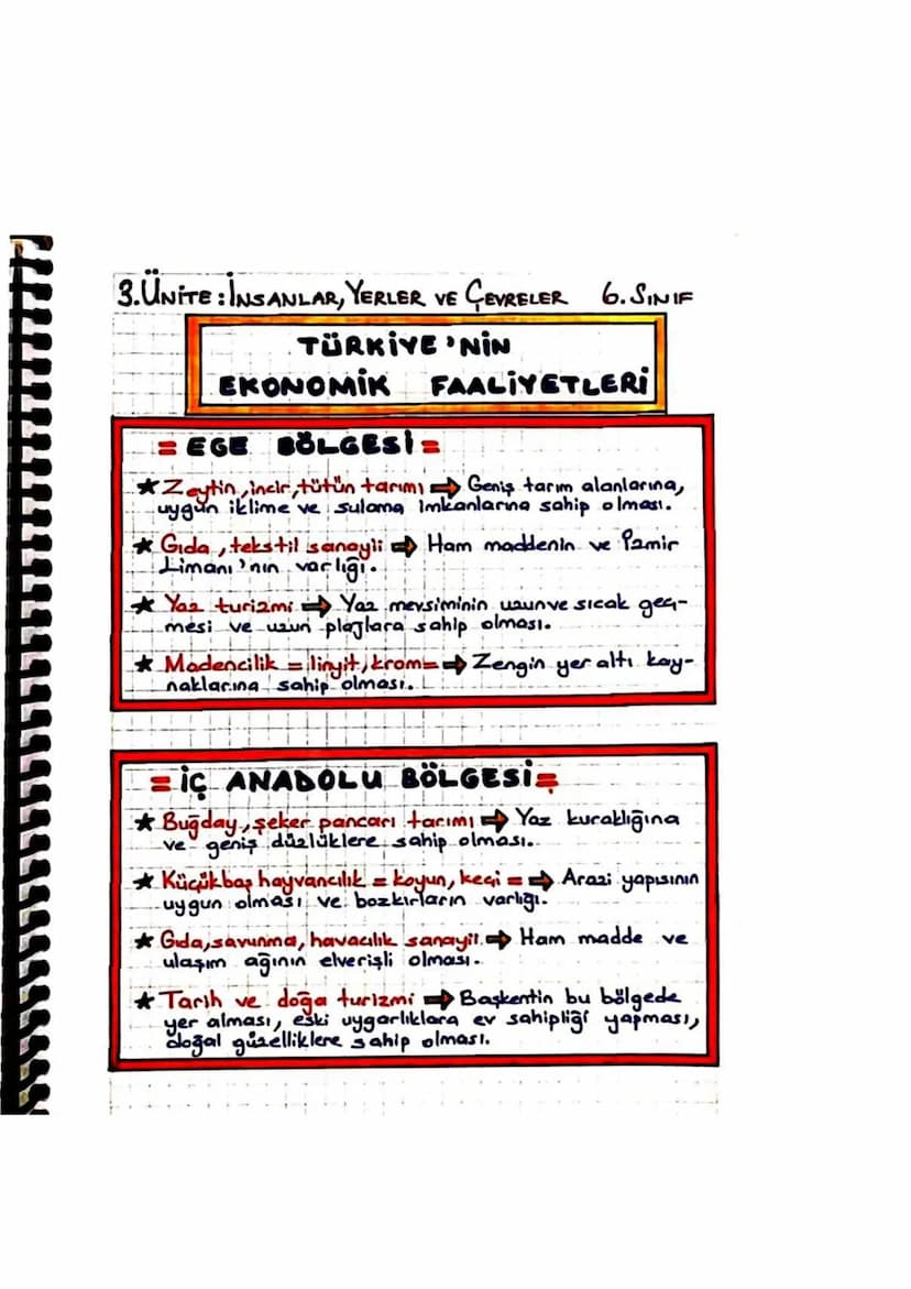 3.ÜNITE: INSANLAR, YERLER VE GEVRELER 6. SINIF
TÜRKİYE'NIN
EKONOMİK
FAALİYETLERİ
=KARADENİZ BÖLGESİ=
Gay, findik ve Mısır tarımı Her mevsim 