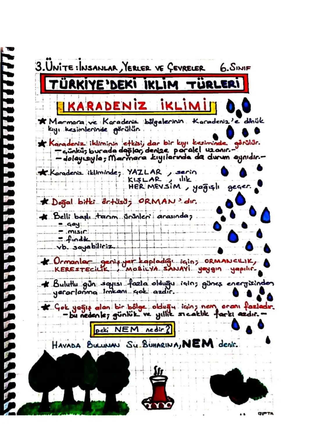 3.ÜNITE: INSANLAR, YERLER VE GEVRELER 6. SINIF
TÜRKİYE'NIN
EKONOMİK
FAALİYETLERİ
=KARADENİZ BÖLGESİ=
Gay, findik ve Mısır tarımı Her mevsim 