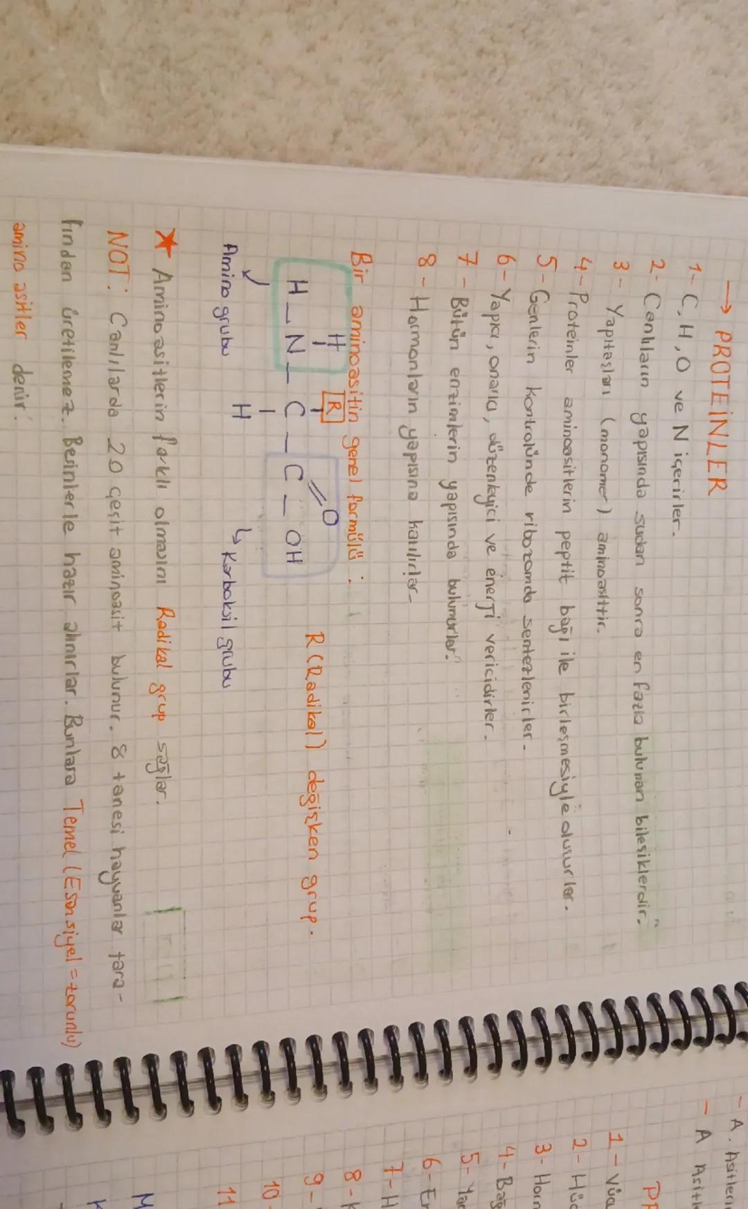 → PROTEINLER
1-C,H,O ve N içerirler.
2- Canlıların yapısında sudan sonra en fazla bulunan bileşiklerdir.
3- Yapıtaşları (monomer) aminoasitt